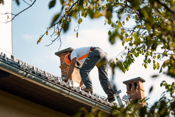 Best Rubber Roofing (EPDM, TPO)  in Bolivar, WV