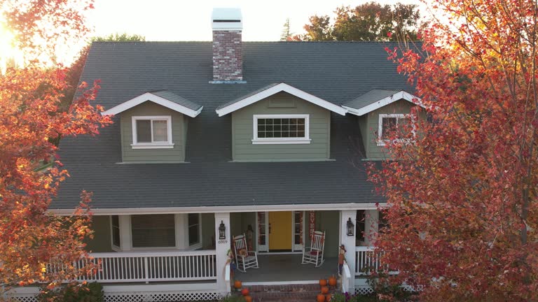 Best Roof Maintenance and Cleaning  in Bolivar, WV