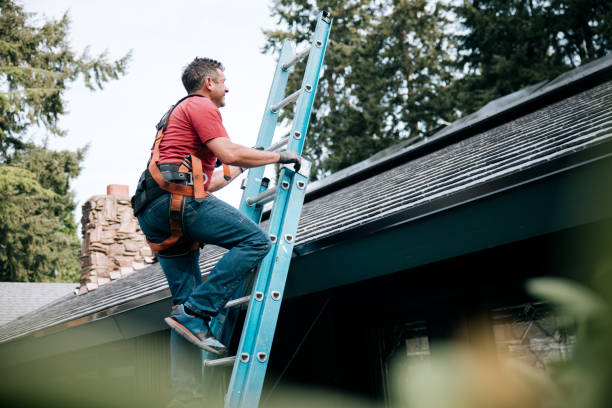 Best Roof Ventilation Installation  in Bolivar, WV
